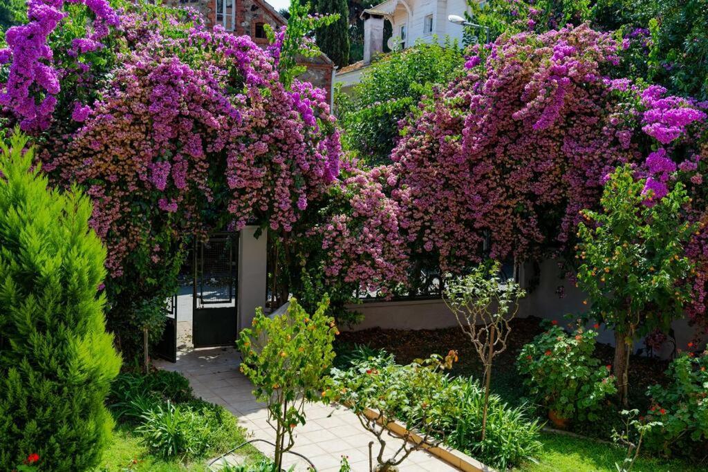 Appartamento Modern And Designed 2Br W Garden Adalar Esterno foto